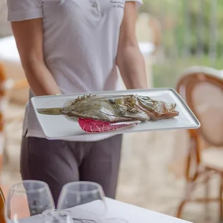 Country Da Pilade Hotel